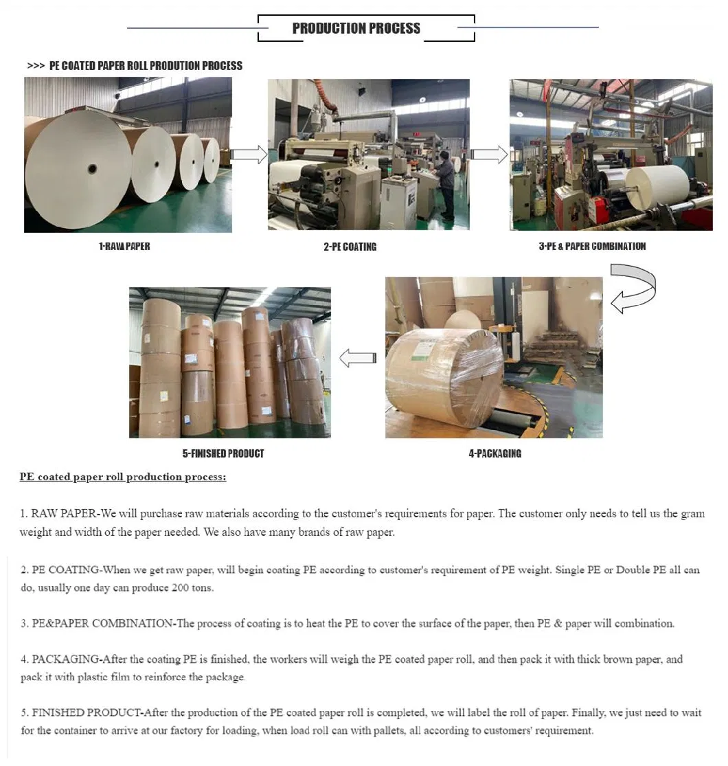 White PE Coated Paper Roll for Cup Paper Raw Materials/Cusomized Grit P40-3000silicon Carbide Coated Waterproof Abrasive Paper