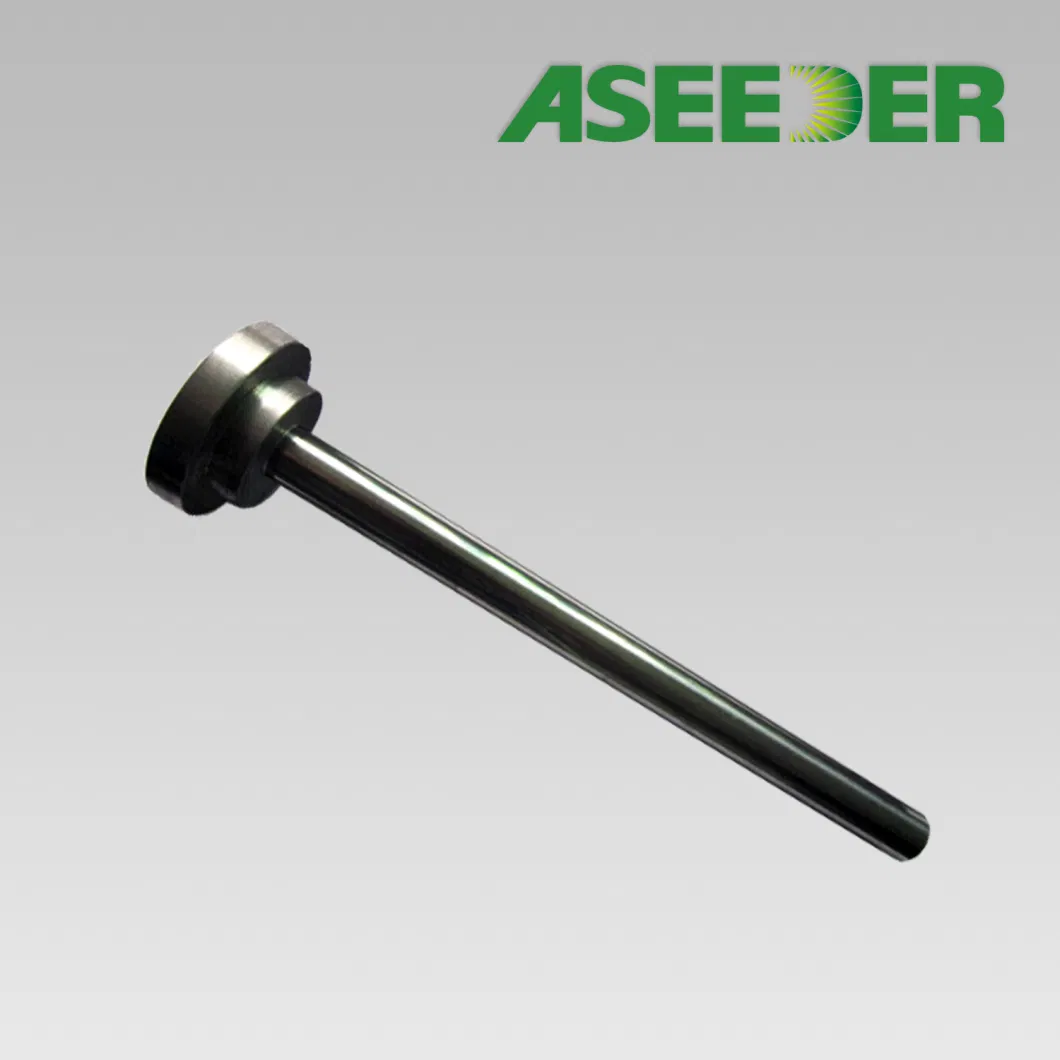 China Cemented Tungsten Carbide Plunger Pistion with OEM Service