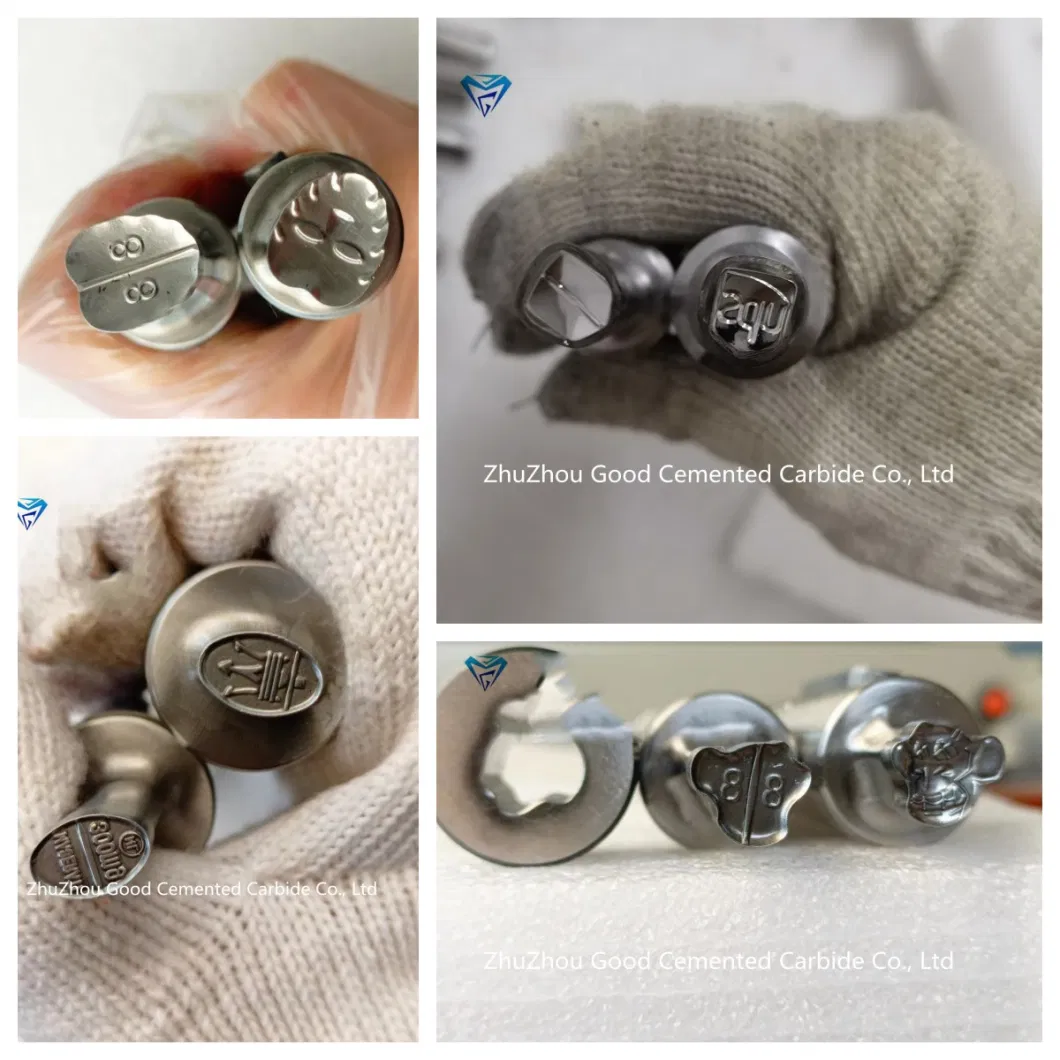 Cemented Carbide Metal Press Mold Tablet Press Mold Zo9 Zp10 Zp12 Zp33 Factory Direct Delivery