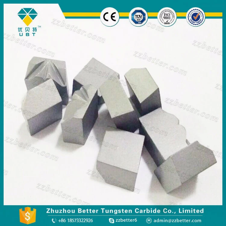 Tungsten Carbide Cutting Moulds for Nail Cutter