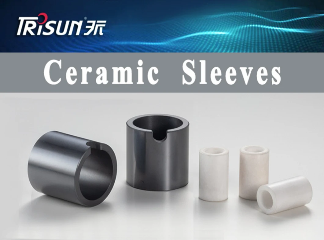 Silicon Carbide and Tungsten Carbide Seal Rings and Shaft Sleeves