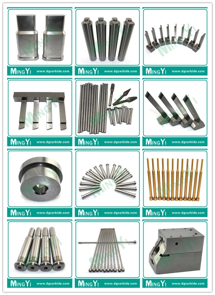 Custom Tungsten Carbide Die for Guide Bushing