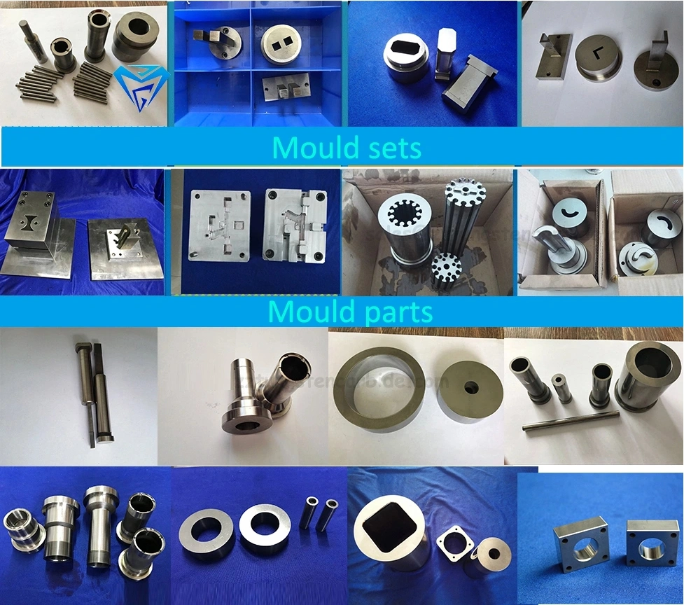 Tungsten Carbide Mould Customized Punching Mould Stamping Mould in Stock Tdp5 Mold for Sale