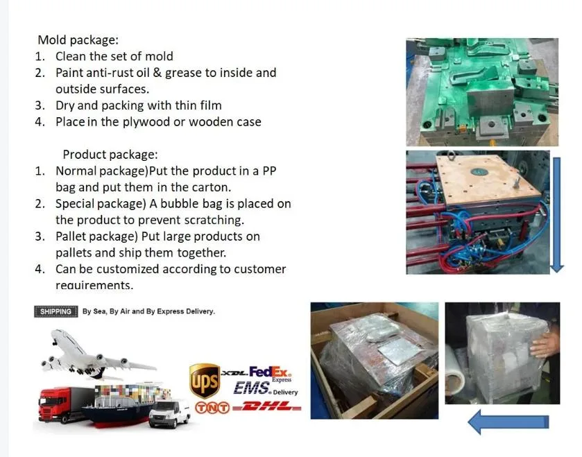 OEM ABS Mould for Plastic Injection Molding Products with SGS Certification