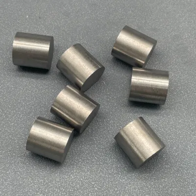  GW-Professional stampo per punzonatura a freddo in carburo di tungsteno realizzato in fabbrica Parti dello strumento di stampo