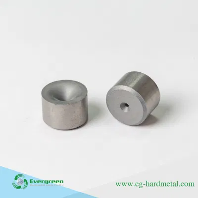  Testa fredda Die Carbide Tungsten Die per bullone a testa tonda Stampi di stampaggio a stampo per stampi di formatura