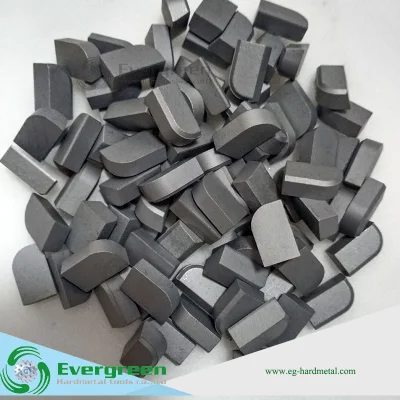  Cina Produttore D di alta qualità Tungsten Carbide taglio brasato Consigli per il mordiccone