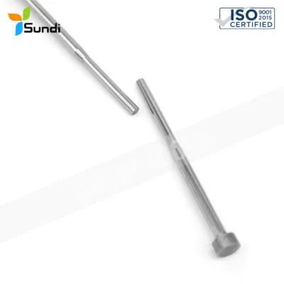 Rivestimento professionale in titanio Skh51 Skh61 componenti per stampi Tungsteno puro Perno in carburo