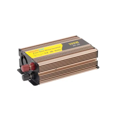 Converter DC 12V 24V 48V to AC 110V 120V 220V 230V 240V
