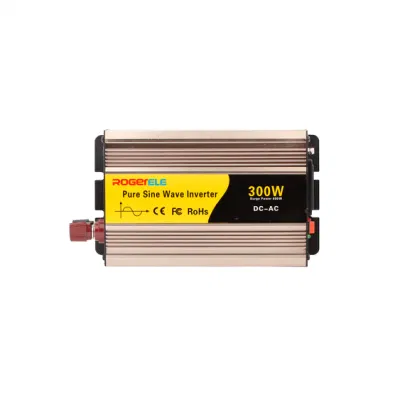 Converter DC 12V 24V 48V to AC 110V 120V 220V 230V 240V