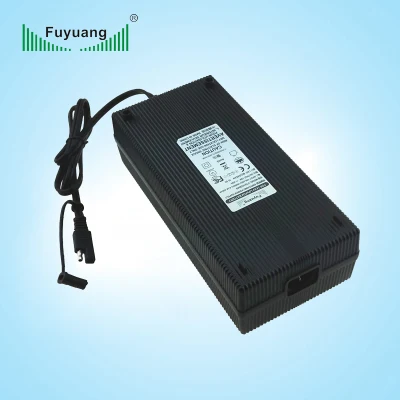 Fuyuang 3y Warranty UL CE RoHS Kc 24V 10A Battery Charger for LiFePO4