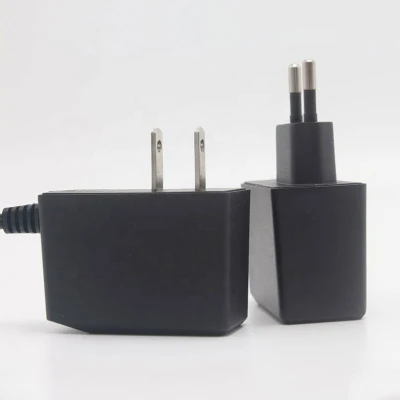 Pass GS CE FCC Medical Power Adapter 12V 24V 6W Power Adapter AC DC Switching Power Supply for Security CCTV Camera
