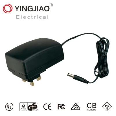 36W Switch Mode 100-240V 12V 24V 36V AC DC Adapter Power Supply