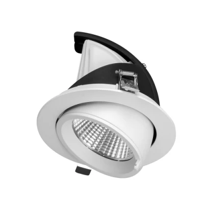 30W 360 Degree Rotatable Energy Saving Lamp Recessed COB LED Gimbal Light