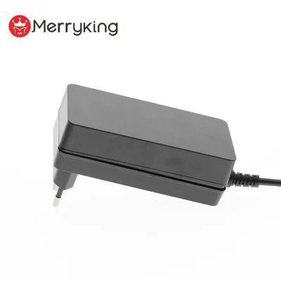 Switching Power Supply Source 12V 5A LED Strip Adapter 24V 2A AC 220V 110V Driver LED Lighting Transformer