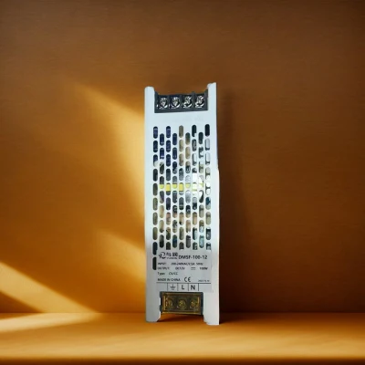 China OEM Factory Waterproof 12V 24V 100W LED Driver for Indoor Lighting Boxes with Surge Protection and 3 Years Warranty