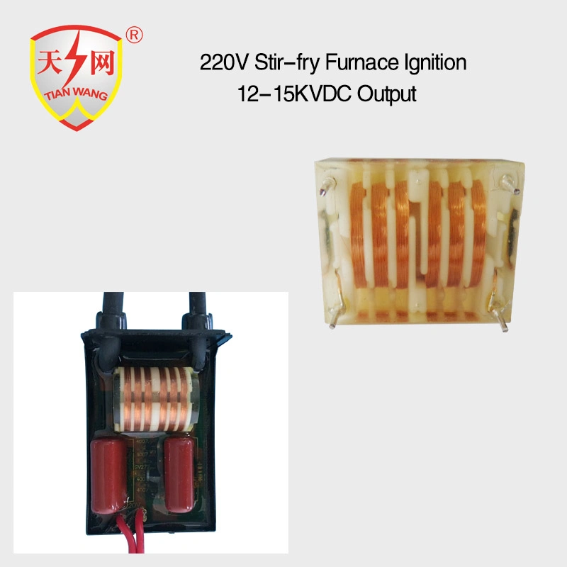 Pulse Flyback Transformer Ignition Coil 12V DC Negative Ion Generator