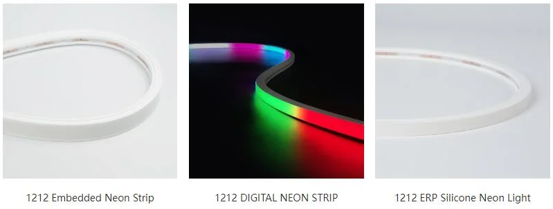 Custom DC 12V 24V Waterproof Flexible Soft Strip Smart Rgbic Ws2811 Ws2812b RGB Flex LED Neon Rope Lights for Room
