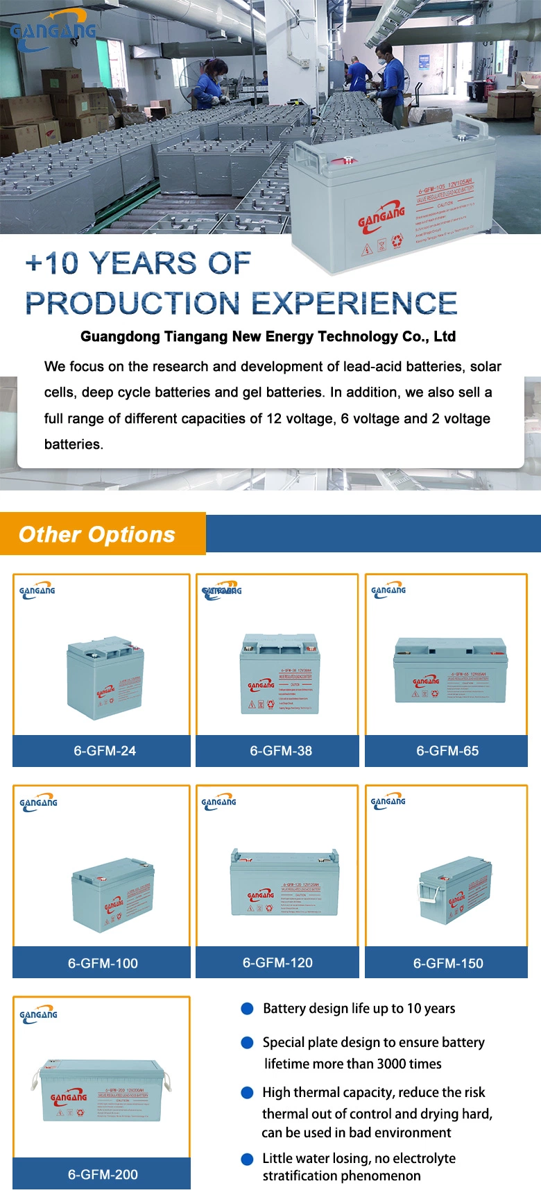 Long Life Storage Deep Cycle VRLA 150ah Gel Lead Acid Solar 12V Battery Charger