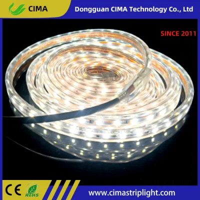 220V 2835 Color estático SMD 5050 de forma zigzag 60 LED tiras LED/M