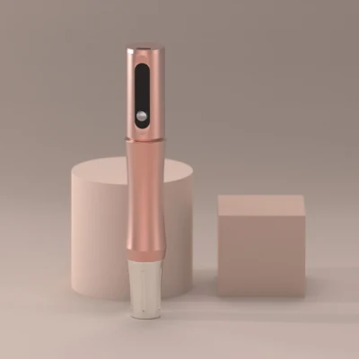  Wireless semi-permanente maquillaje bolígrafo OEM mayorista ordenadores10 cartuchos gratis labio de batería doble tatuaje Pmu máquina SMP