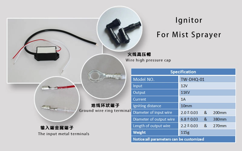 Hot Sale DC 12V Ignitor Module Flyback Transformer for Mist Sprayer