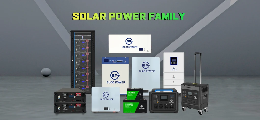 Bloopower 5.12kwh Electric BMS Chargers House Supply at Home on Grid Li Polymer Liion Offgrid Energy Storage Wall System Cycling Battery Powerwall