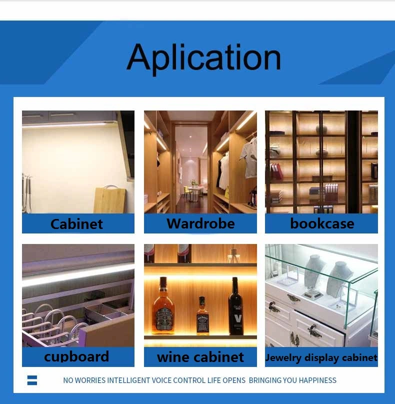 Power Supply for LED Strip Constant Voltage Driver of Cabinet Light