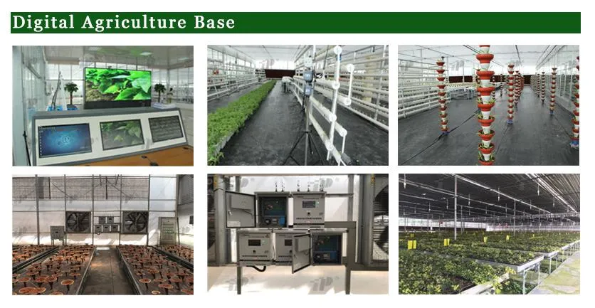 High Pressure Sub-Controlled Electrophoresis Instrument