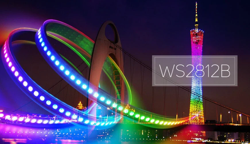 Ws2812b Sk6812 LED Digital Strips 12V 5050 RGB RGBW LED Strip Light