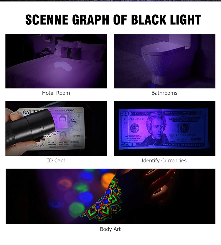 Brightenlux 12 LED UV Flashlight