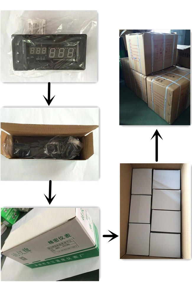 Industrial Temperature Controller for Oven Xmtg-808