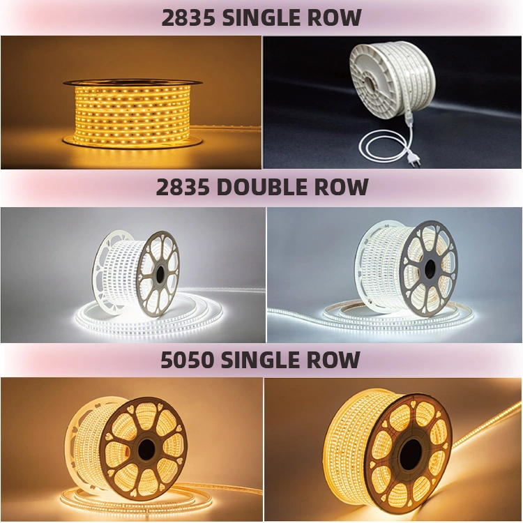 China Professional Customized 5050 RGB FPC Width 10mm LED Strip Outdoor Colorful RGB Track Lighting
