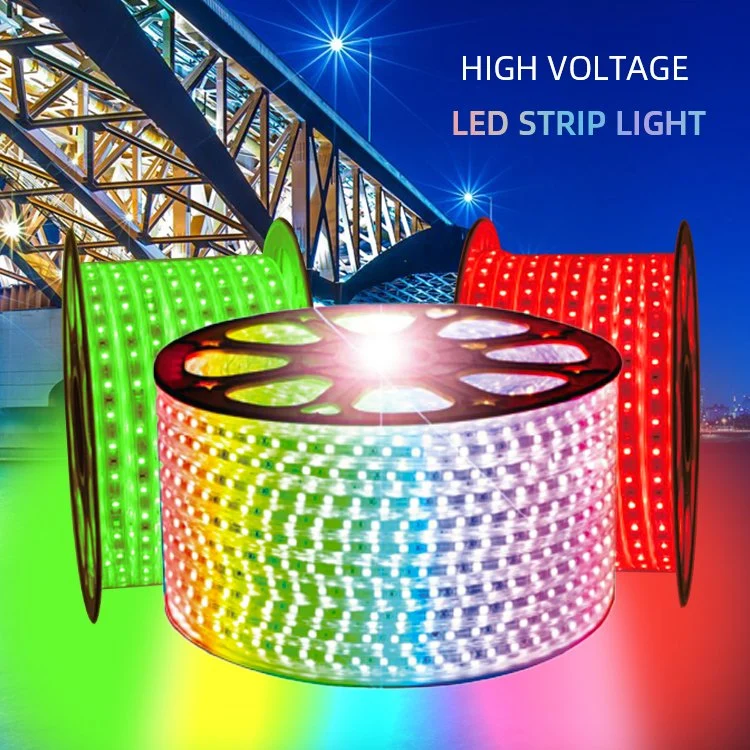 220V SMD 2835 5050 Static Color S Shape Zigzag LED Strips 60 LED/M