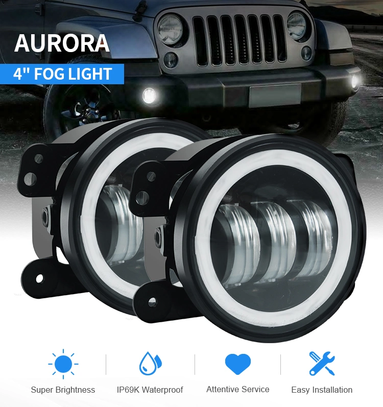 Aurora Fan Series 25W LED Headlight Bulb Built-in Driver