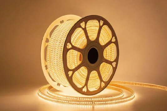 China Professional Customized 5050 RGB FPC Width 10mm LED Strip Outdoor Colorful RGB Track Lighting