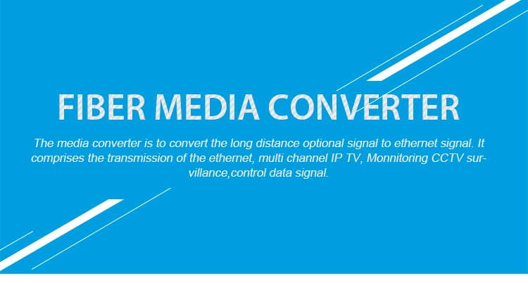 100km Media Converter 12V AC to 12V DC /220V to 380V Converter