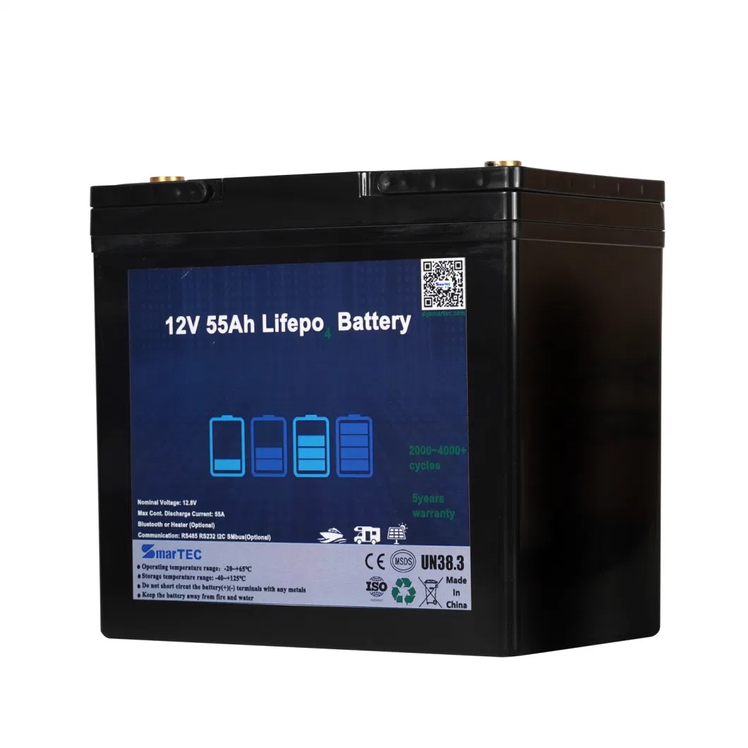 17 Yrs Wholesales OEM 12V 24V 36V 48V 60V 10A 20A 30A 40A 50A 60A 70A 80A 90A 100A 150A 200A Lithium LiFePO4 Battery Pack with CE UL MSDS FC Un38.3