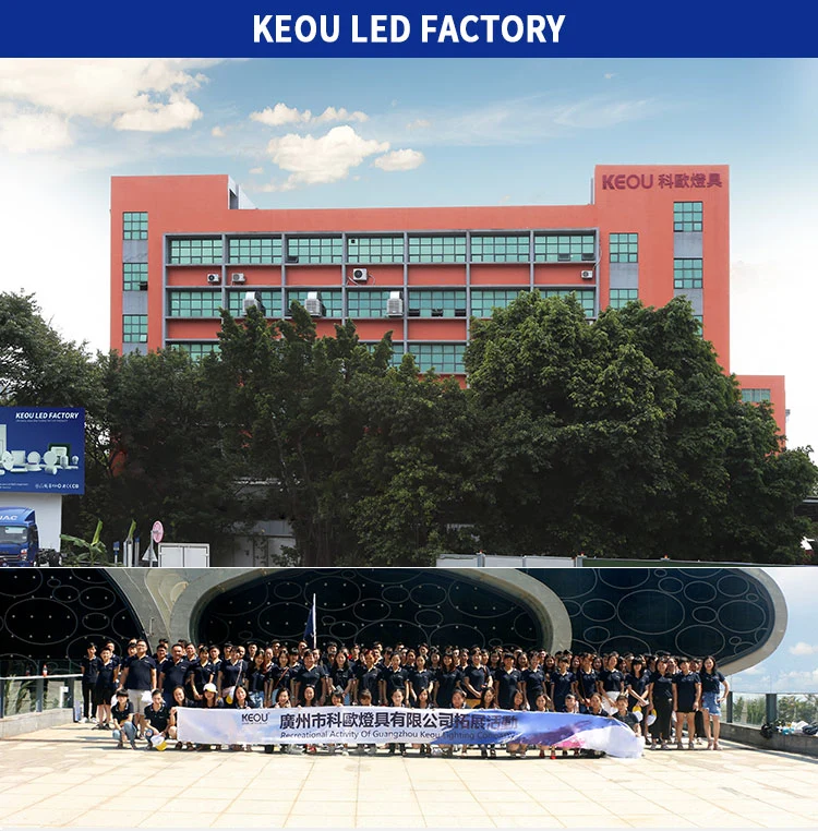 Keou Input AC100-260V LED Power Supply Output 12V 60 100W 200W 300W LED Driver