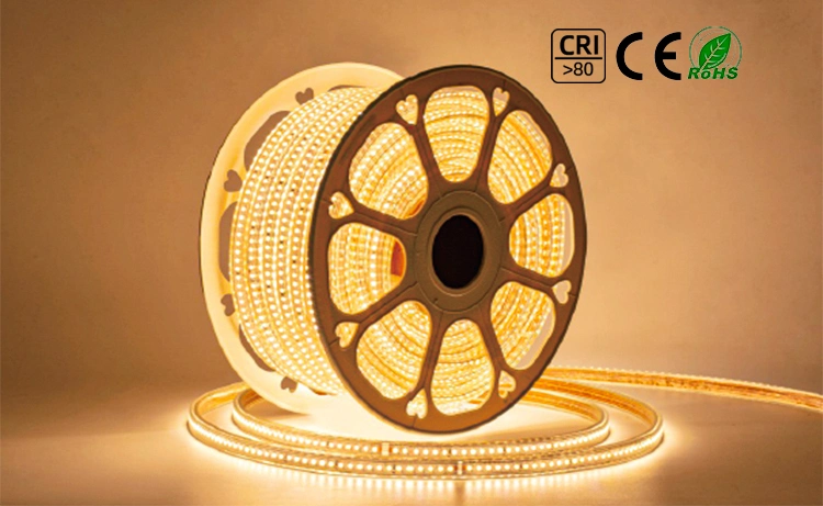 China Professional Customized 5050 RGB FPC Width 10mm LED Strip Outdoor Colorful RGB Track Lighting