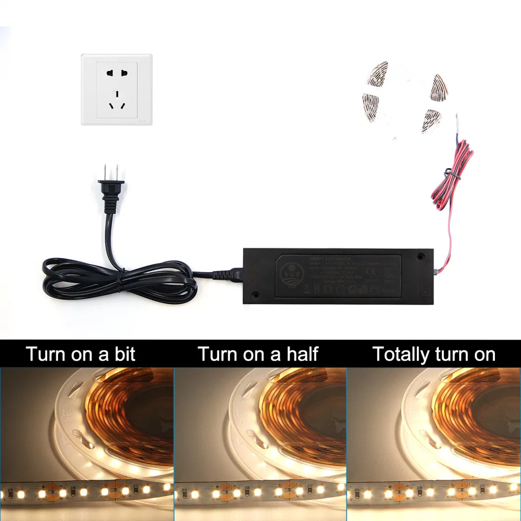 18W Supper Thin Mini Smart Dual Color Temperature Dimmable Wireless LED Driver