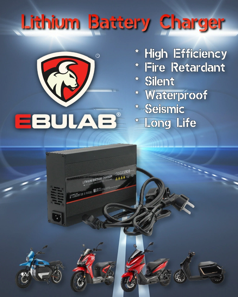 Ebulab OEM 12V 24V 48V 72V 2A 3A 5A 8A 10A 15A 20A Smart Electric Motorcycle E Bike Scooter Car Intelligent Rechargeable Lithium Battery Charger