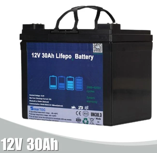17 Yrs Wholesales OEM 12V 24V 36V 48V 60V 10A 20A 30A 40A 50A 60A 70A 80A 90A 100A 150A 200A Lithium LiFePO4 Battery Pack with CE UL MSDS FC Un38.3
