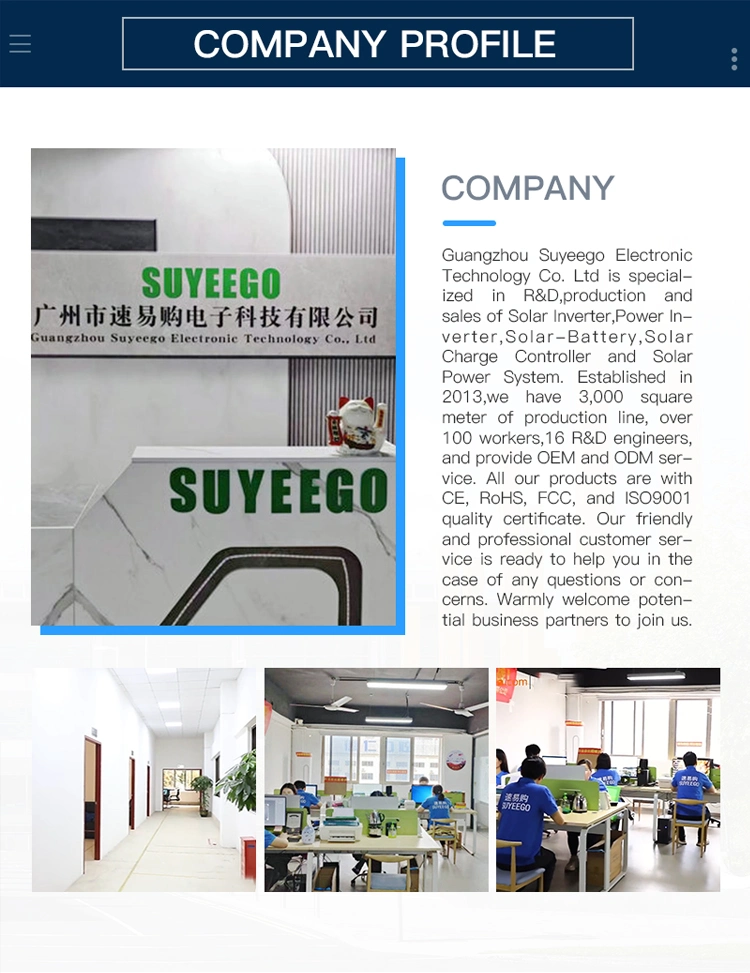 Suyeego Power Inverter 2000W 1000W 3000W 12V 24V 48V DC to 110V 220V 230V 240V Inverters Converters with Charger Solar Power System