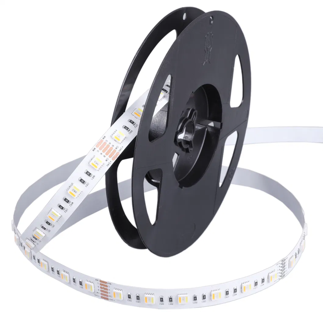 RGBCW 60LEDS/m 12V 24V Led Light Colored Flexible Waterproof LED Strip Lamp