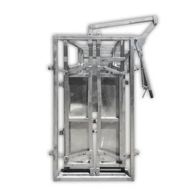 Australia Market Galvanized Cattle Panel Squeeze Crush Cattle Handling Equipment with Weighing Scale
