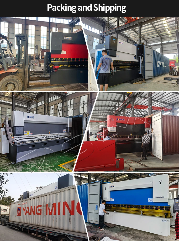 125t3200 8+1 Axis CNC Sheet Metal Bending Machine Da66t Hydraulic Press Brake