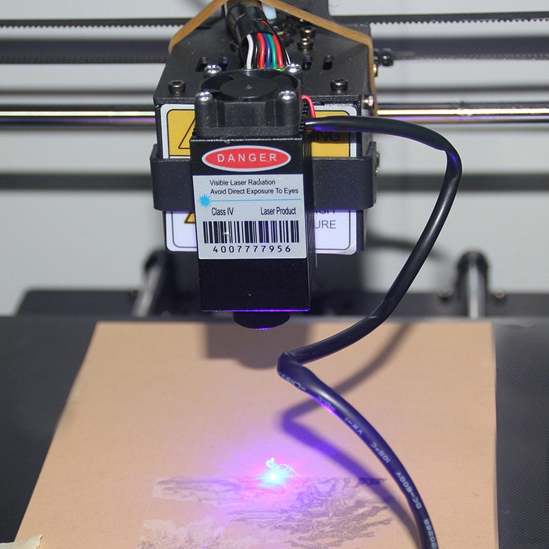 Professional Laser Engraving Module 3D Printer CNC Router Laser Module