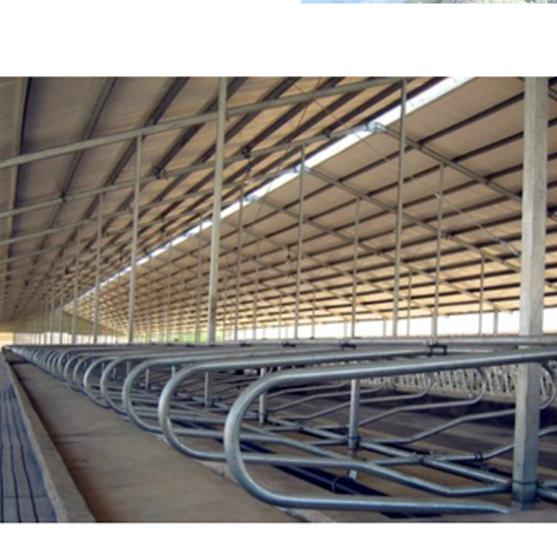 Heavy Duty Hot DIP Galvanized Bending Welding Livestock Equipment Cattle Yard Panel