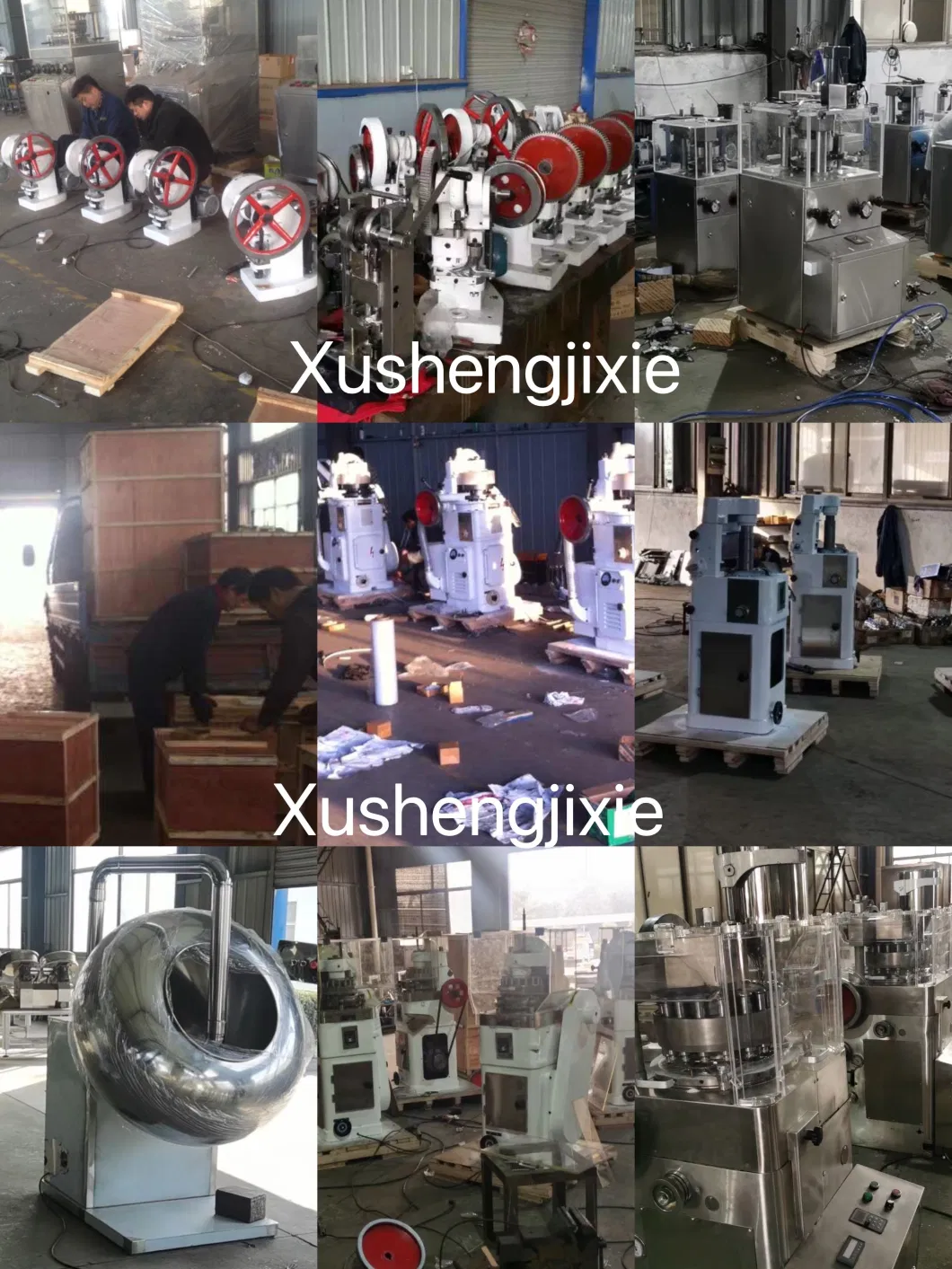 Customized Dies Tdp5 Tablet Press/Turret for Tablet Press/Tablet Die